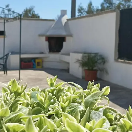 Zaira * 加利波利