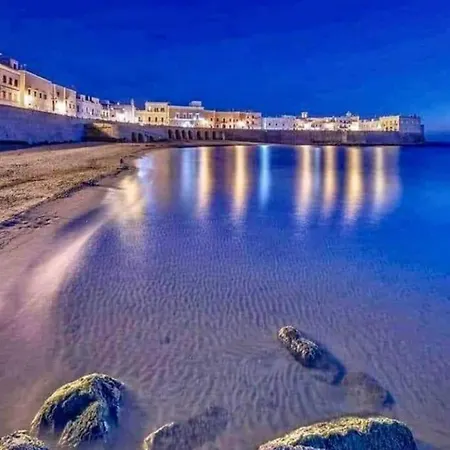 Zaira * 加利波利