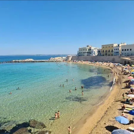 Zaira * 加利波利